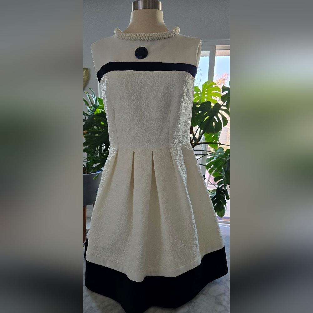 Lucy Paris Cream and Black Textured Fit-and-Flare Dress
